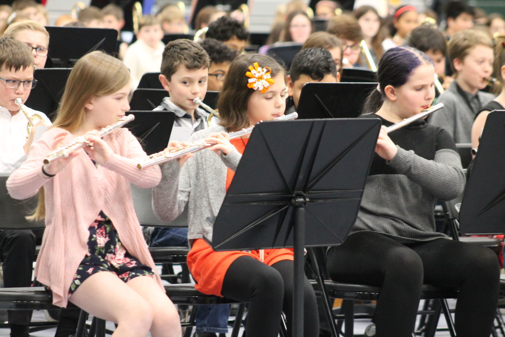 Parade of Bands 2